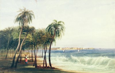 Veduta di Colombo, Ceylon da Andrew Nicholl